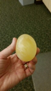 A Naked Egg
